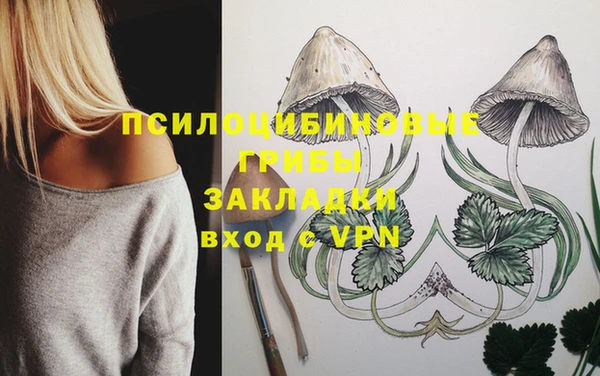 таблы Алексеевка